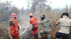 Hotspot Karhutla Turun Jadi 317 Titik, Sumatera Selatan Catat 102 Titik