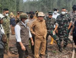 Menhut Raja Antoni Turun Langsung ke Kalsel, Pastikan Penanganan Karhutla Maksimal